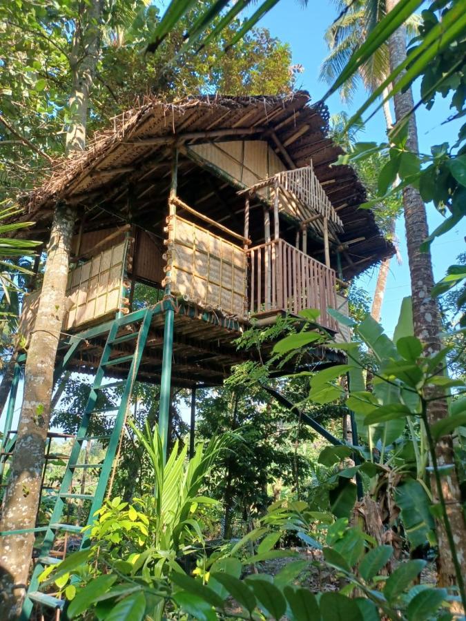 Kayyalas Courtyard Thrissur Esterno foto